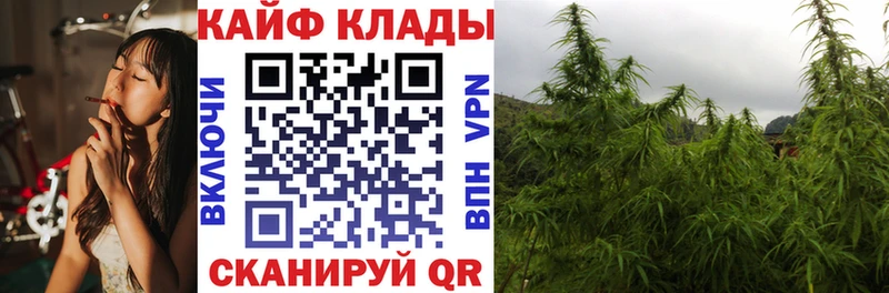 Каннабис Калининград