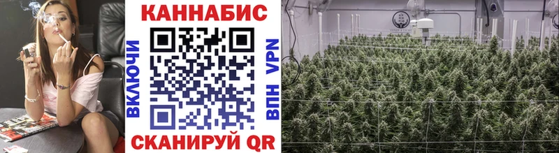 где можно купить наркотик  KRAKEN как зайти  Каннабис LSD WEED  Калининград 